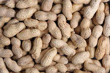 Image showing Peanuts 