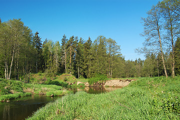 Image showing River in the forest
