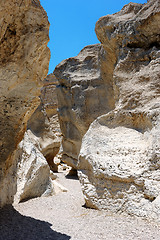 Image showing White stones of Makhtesh Ramon