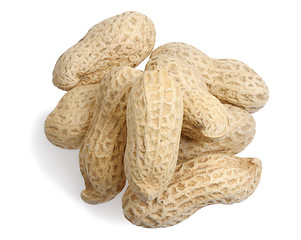 Image showing Peanuts 