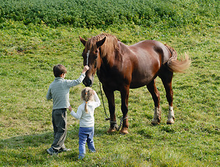 Image showing Kids and horses