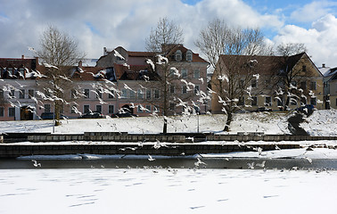 Image showing Birds over the old city