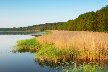 Image showing Coast of lake