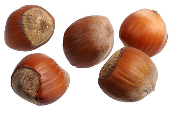 Image showing Hazelnuts, isolated