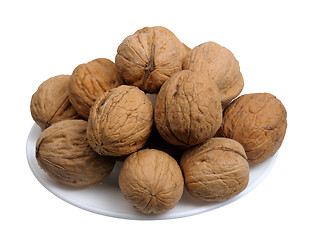 Image showing Walnuts, isolated