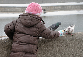 Image showing Feeding pigeons in winter.