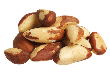Image showing Brazil nut (Bertholletia excelsa)