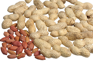 Image showing Peanuts 