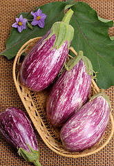 Image showing Eggplants.