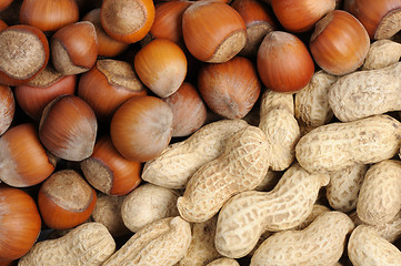 Image showing Walnuts and peanuts