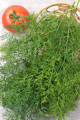 Image showing Dill