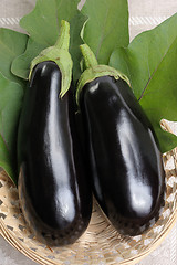 Image showing Eggplants.