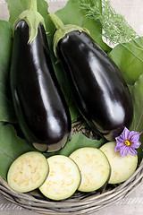 Image showing Eggplants.