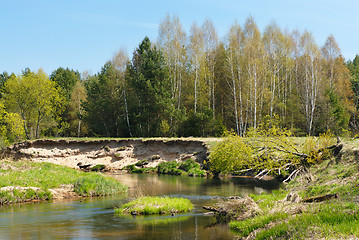 Image showing River in the forest