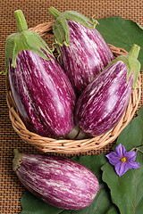 Image showing Eggplants.