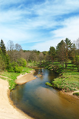 Image showing River in the forest