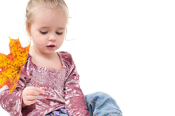 Image showing Toddler with maple leaves