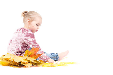 Image showing Toddler with maple leaves