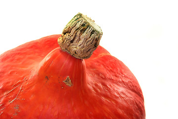 Image showing Pumpkin