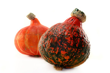 Image showing Pumpkin