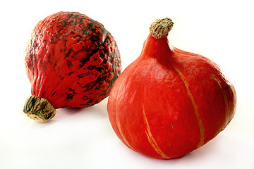 Image showing Pumpkin