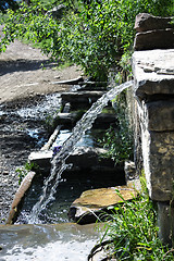 Image showing Mountain spring