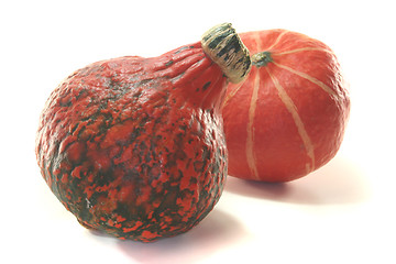 Image showing Pumpkin