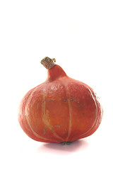 Image showing Pumpkin