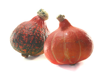 Image showing Pumpkin