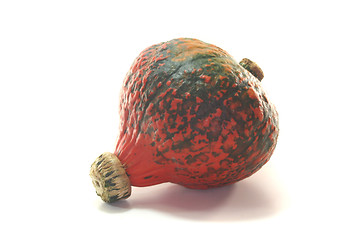 Image showing Pumpkin