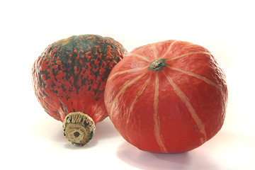 Image showing Pumpkin