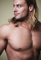 Image showing  Muscular man