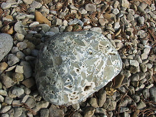 Image showing Pebble