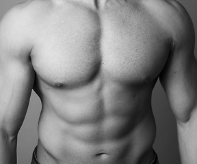 Image showing Abs of a muscular man