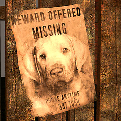 Image showing miss-indicate for a missed dog - MISSING Dog