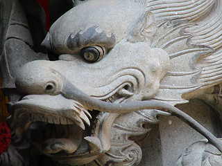 Image showing Real Chinese Dragon