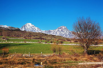 Image showing Autumn landscape