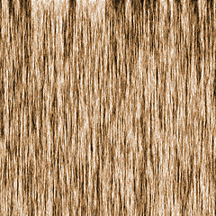 Image showing Wood Grain