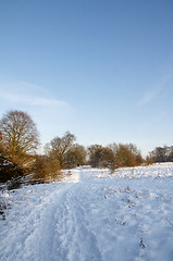 Image showing Winter