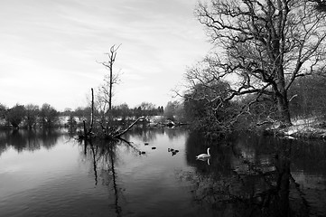 Image showing Winter lake