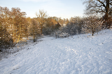 Image showing Winter