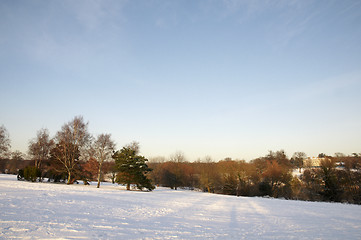 Image showing Winter