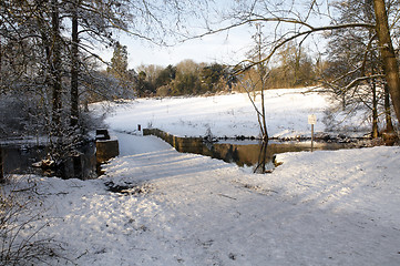 Image showing Winter