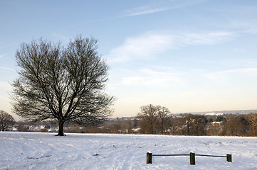 Image showing Winter