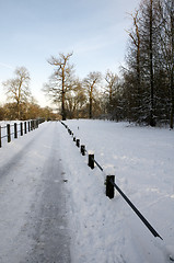 Image showing Winter