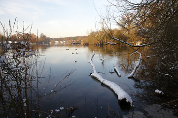 Image showing Winter lake