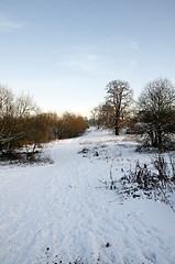 Image showing Winter