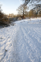 Image showing Winter