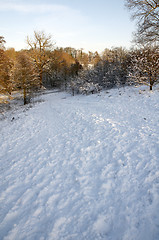 Image showing Winter