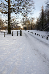 Image showing Winter